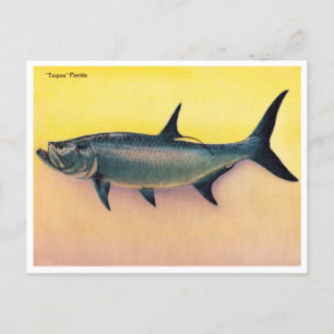 Cartão postal Vintage Tarpon Florida Viagem