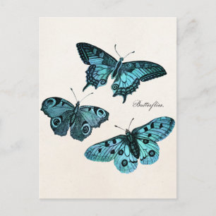 Cartão Postal Vintage Teal Blue Butterfly Modelo