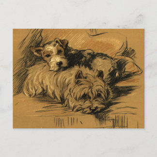 Cartão Postal Vintage Terrier e Westie