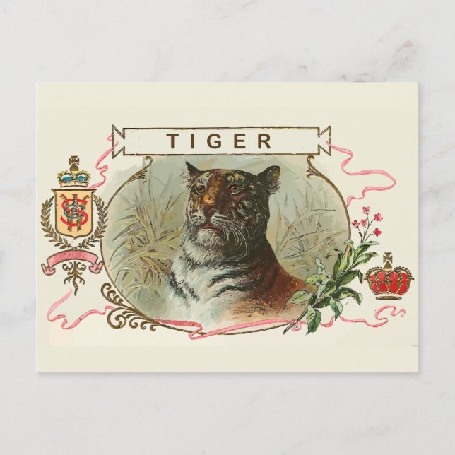 Cartão Postal Vintage Tiger (Frente)