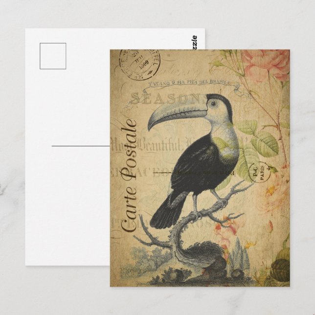 Cartão Postal Vintage Toucan Bird (Frente/Verso)