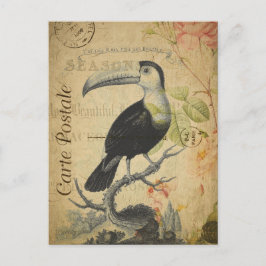 Cartão Postal Vintage Toucan Bird Pink Roses Floral French