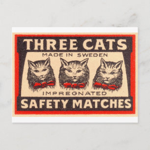 Cartão Postal Vintage Três Gatos De Segurança