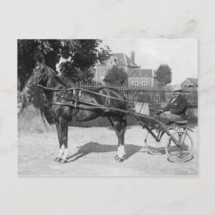 Cartão Postal Vintage trotter e sulky
