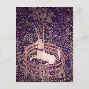 Cartão Postal Vintage Unicorn Em Captividade