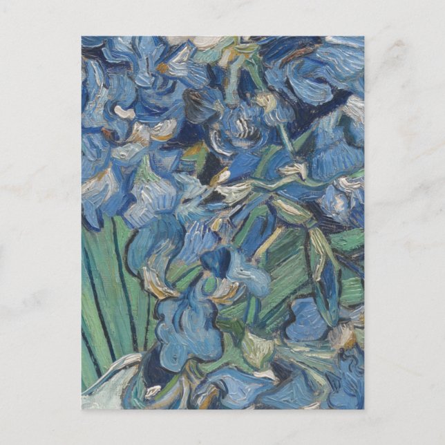 Cartão Postal Vintage Van Gogh Irises (Frente)