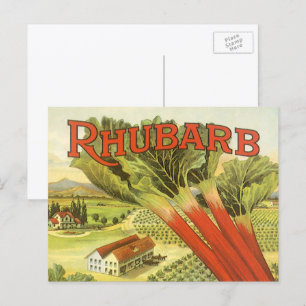 Cartão Postal Vintage Vegetal Pode Rotular Arte, Fazenda Rhubarb
