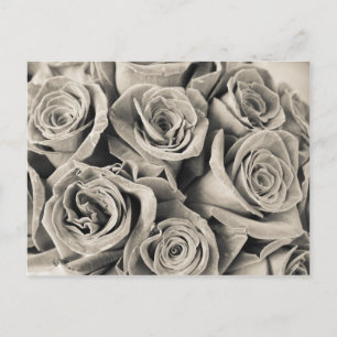 Cartão Postal Vintage Velvet Beauty