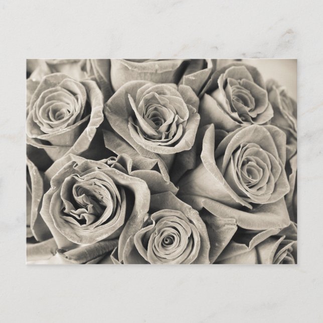 Cartão Postal Vintage Velvet Beauty (Frente)