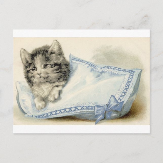 Cartão Postal Vintage Victorian Cat Kitten (Frente)