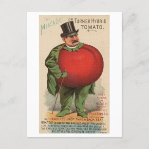Cartão Postal Vintage Victorian Man with Tomato Body