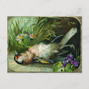 Cartão Postal Vintage Victorian Morto Bird Natal