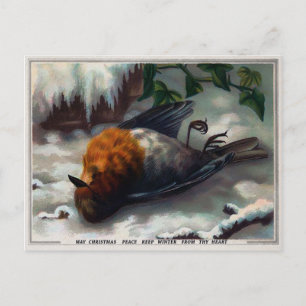 Cartão Postal Vintage Victorian Morto Bird Natal