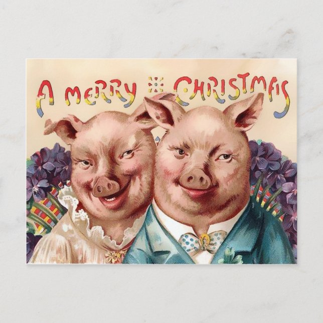 Cartão Postal Vintage Victorian Pigs Christmas (Frente)