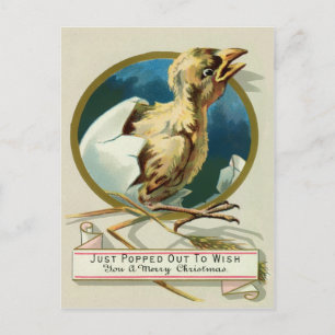 Cartão Postal Vintage Victorian Pintinho Christmas