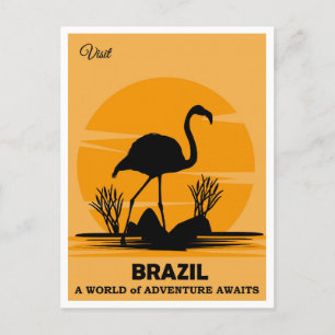 Cartão Postal Vintage Visita Brasil Flamingo Viagem