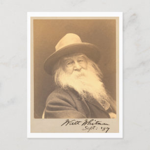 Cartão Postal Vintage Walt Whitman - Retrato