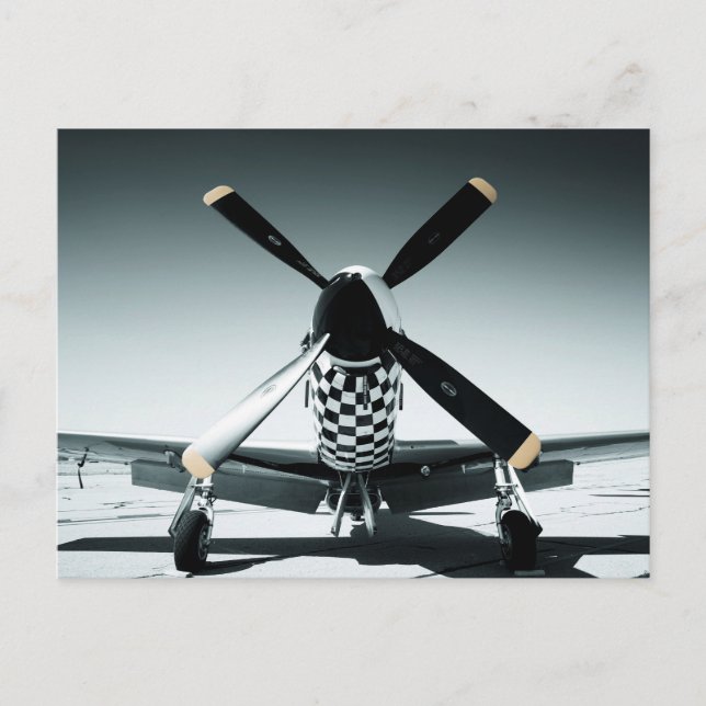 Cartão Postal Vintage War Bird (Frente)