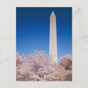 Cartão postal Vintage Washington DC