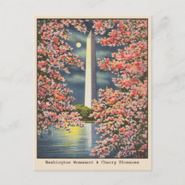 Cartão Postal Vintage Washington Monument & Cherry Blossoms DC