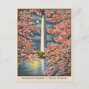 Cartão Postal Vintage Washington Monument & Cherry Blossoms DC
