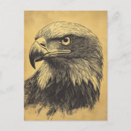 Cartão Postal Vintage Weisskopfseeadler Portrait Raubvogel
