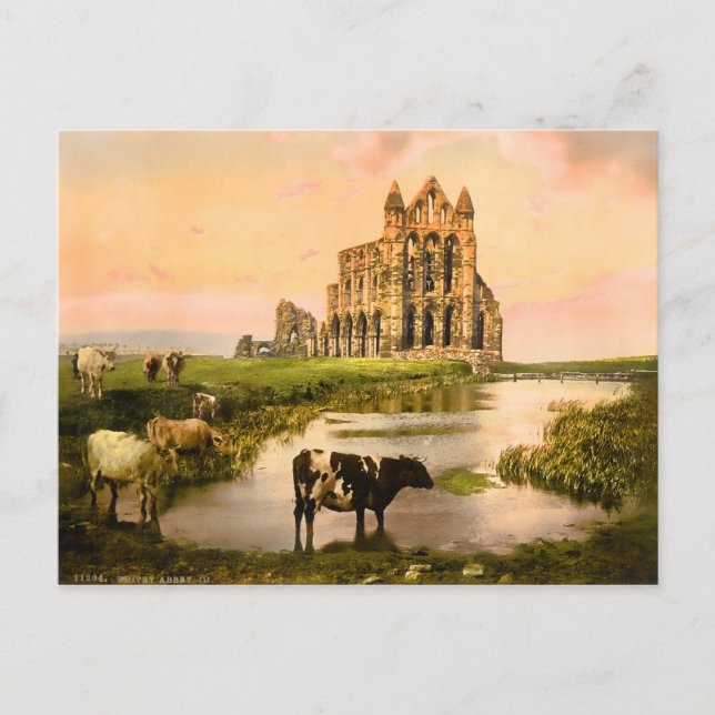 Cartão Postal Vintage Whitby Abbey Yorkshire Inglaterra (Frente)