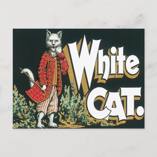 Cartão Postal Vintage White Cat Cigarro Art (Frente)