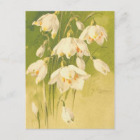 Vintage White Lily da Flor do Vale