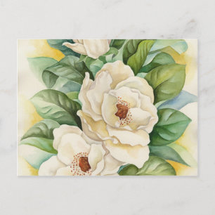 Cartão Postal Vintage White Magnolia Floral Flor Flor Flor Arte