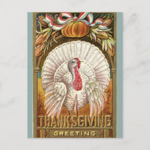 Cartão Postal Vintage White Turkey Pumpkin e Arco