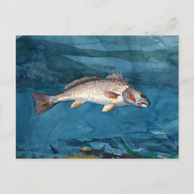 Cartão Postal Vintage Winslow Homer Channel Bass (Frente)