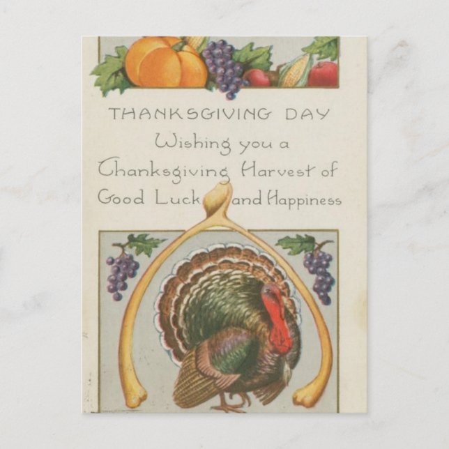 Cartão Postal Vintage Wishbone Turkey Graphics (Frente)