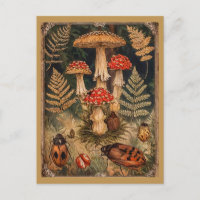 Vintage Woodland Mushroom Saudação do outono