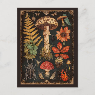Cartão Postal Vintage Woodland Toadstool Cottagecore