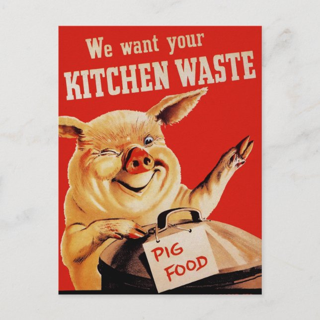Cartão Postal Vintage WW2 Pig (Frente)
