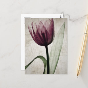 Cartão Postal Vintage X-Ray Tulip