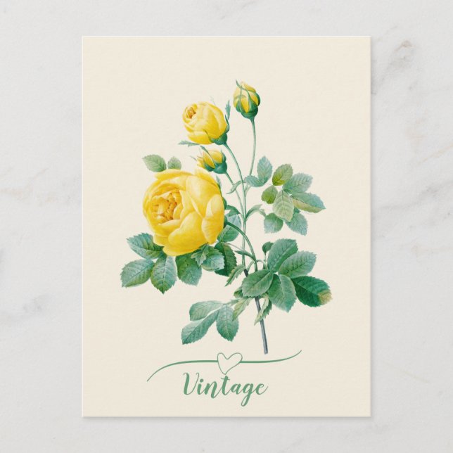 Cartão Postal Vintage Yellow Rose Fine art (Frente)