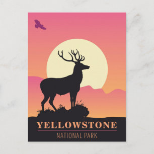 Cartão Postal Vintage Yellowstone National Park Sunset