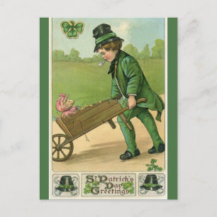 Cartão Postal Vintage Young Man and Pig St Patricks Saudação