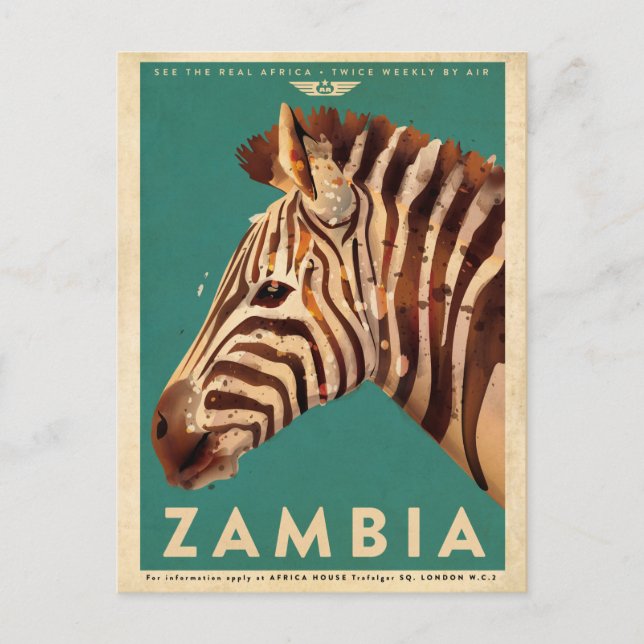 Cartão Postal Vintage Zambia Zebra Viagem (Frente)