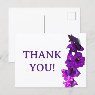 Cartão Postal Violet Purple Gladiolus Floral