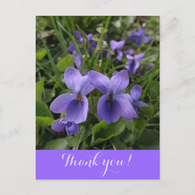 Cartão Postal violeta (Frente)
