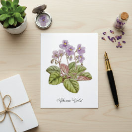 Cartão Postal Violeta Africana Curtis Botânico
