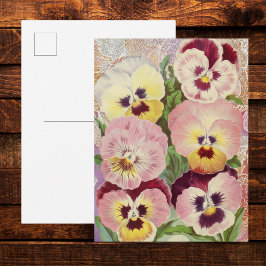 Cartão Postal Violetas e rendas efêmeras rosa e roxo