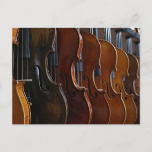 Cartão Postal Violin Lineup