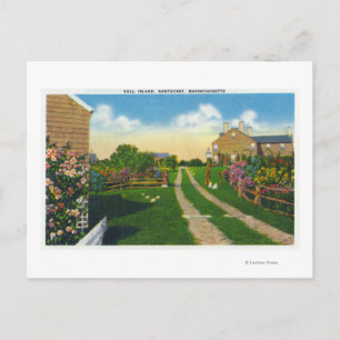 Cartão Postal Visão Cênnica da Ilha Gull