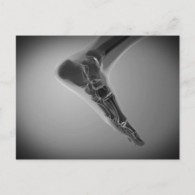 Cartão Postal Visão De Raios X Do Pé Humano 4 (Frente)