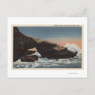Cartão Postal Visão do Cabeça de Alligador, La Jolla