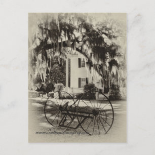 Cartão Postal Visão do Cartaz do Velho Sul